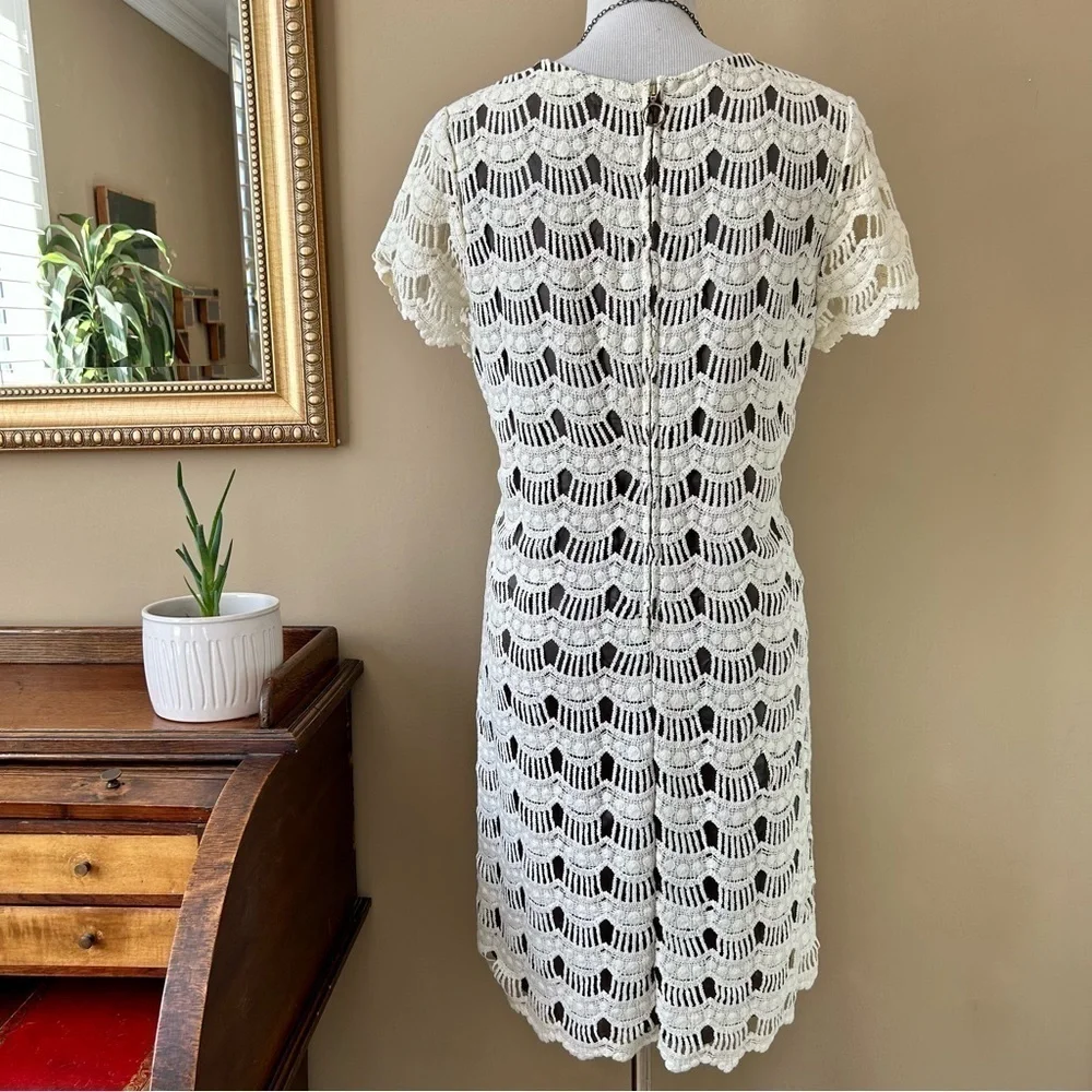 Kate Spade Virginia Ivory Lace Shift White Mini Dress Scalloped Short Sleeve 8